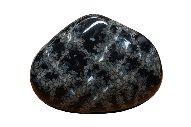 Black Snowflake Obsidian - crystinfo.com