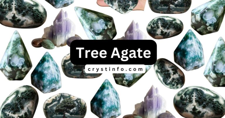 Tree Agate:Unveiling the Secrets[ Dendritic Agate]